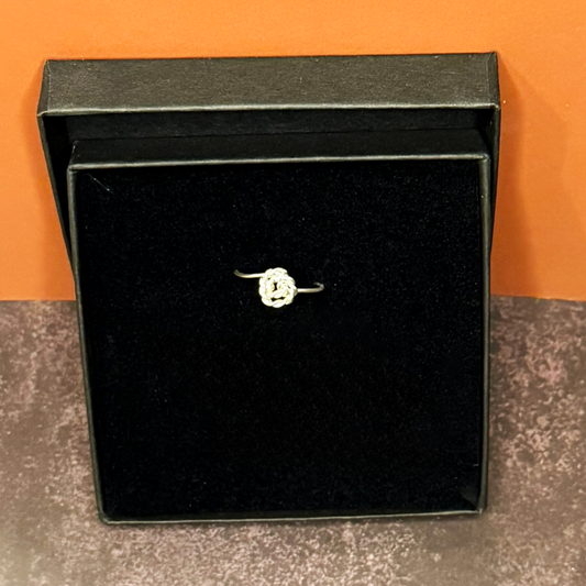 Anel RÖSE Garden - Delicadeza · Eternidade - Prata 925 | Edição RÖSE Garden