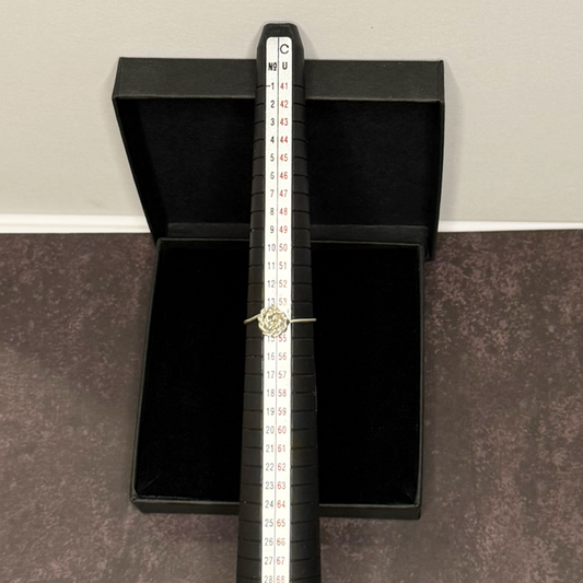 Anel RÖSE Garden - Delicadeza · Eternidade - Prata 925 | Edição RÖSE Garden